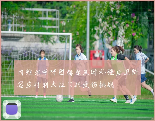 内维尔呼吁图赫尔及时补强后卫阵容应对利夫拉门托受伤挑战
