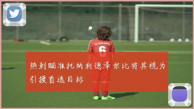 热刺瞄准托纳利德泽尔比将其视为引援首选目标